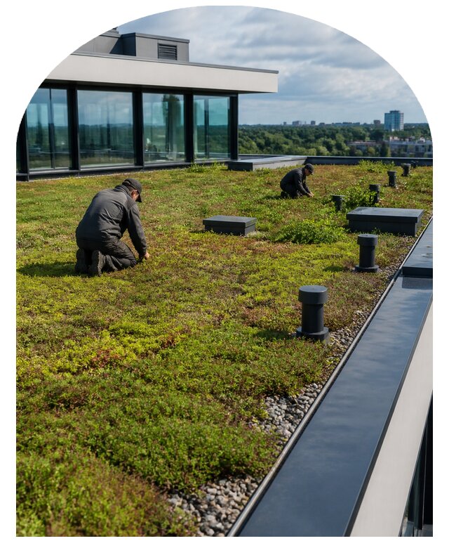 Зеленая крыша под ключ в Ярцеве от 6613 р. | Метпроект-Рцв