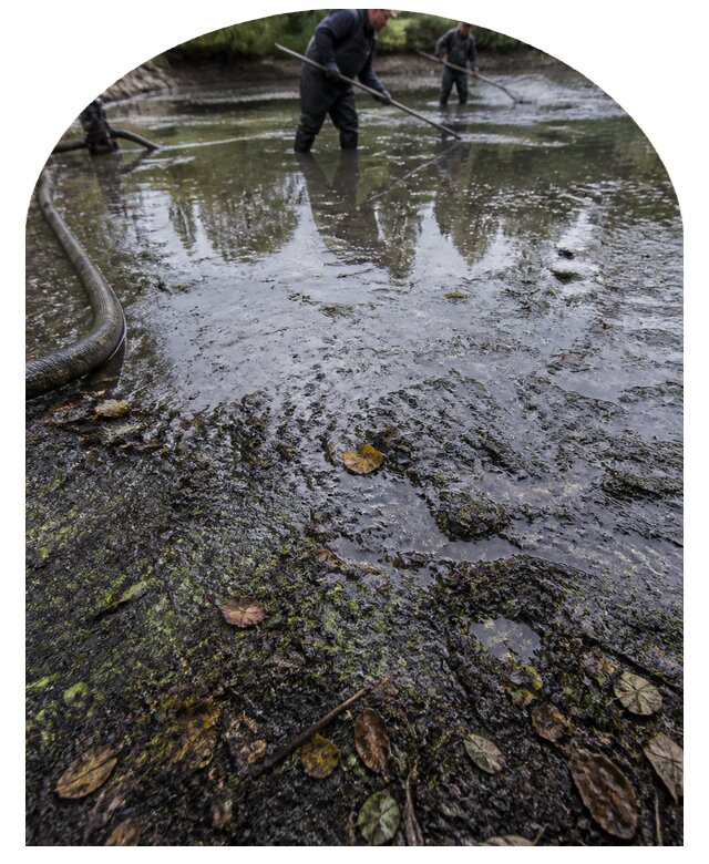 Очистка пруда в Ярцеве от ила мусора и водорослей с вывозом